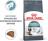 Royal Canin корм для взрослых кошек всех пород, вывод волосяных комочков