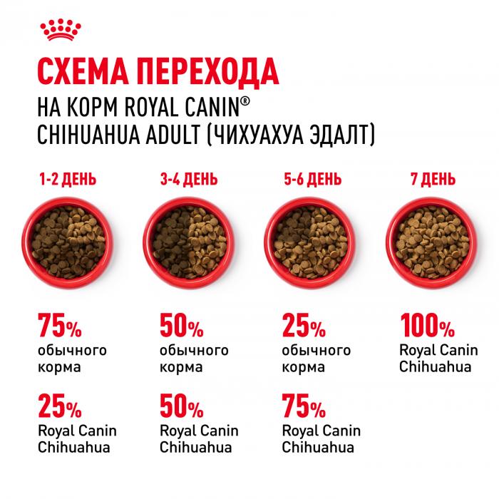 Royal Canin Chihuahua сухой корм для собак породы чихуахуа старше 8 месяцев