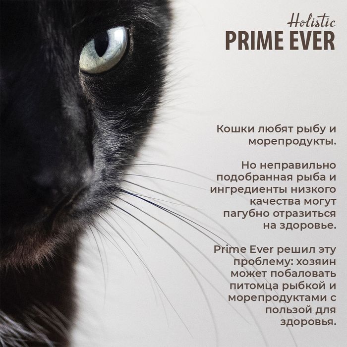 Prime Ever влажный корм для кошек, беззерновой, мусс с тунцом и креветками