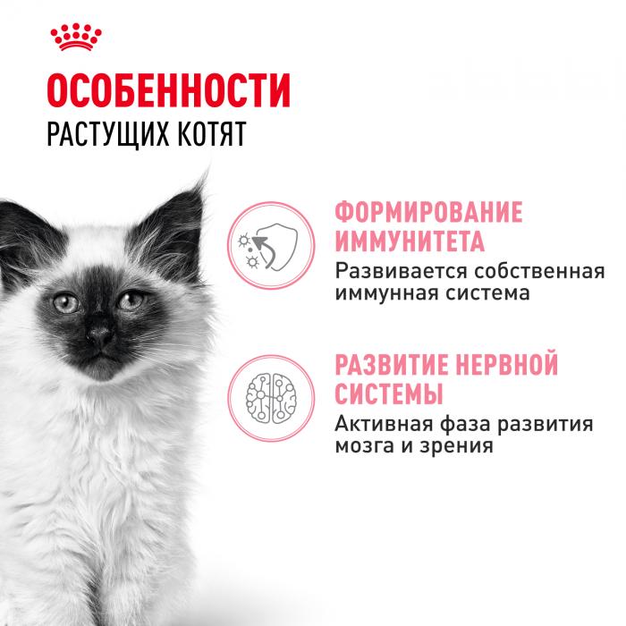 Royal Canin Kitten Instinctive влажный корм для котят от 4 до 12 месяцев в соусе