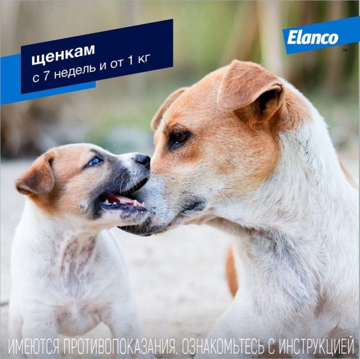 Elanco Адвокат капли для щенков и собак 4-10 кг, от клещей, блох и гельминтов