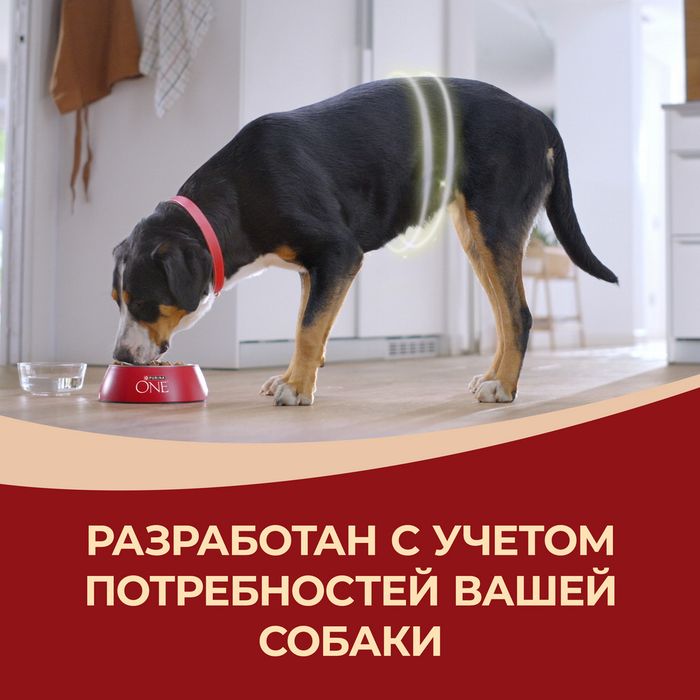 Сухой корм Purina ONE® для взрослых собак средних и крупных пород, с высоким содержанием ягненка и рисом