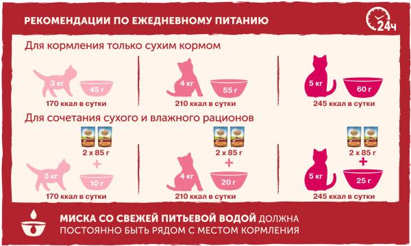 Nature`s Table Nature’s Table влажный корм для взрослых кошек всех пород, говядина в cоусе