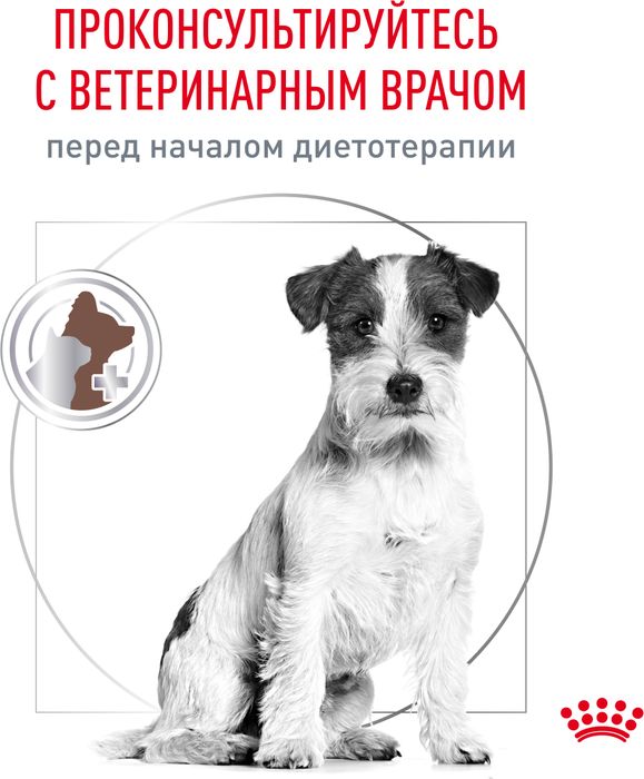 Royal Canin корм для взрослых и пожилых собак всех пород при нарушениях пищеварения