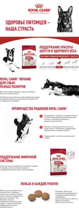 Royal Canin Medium Adult сухой корм для собак средних пород с 12 месяцев до 7 лет