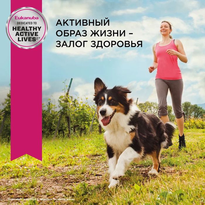 Eukanuba корм для взрослых собак декоративных пород, птица