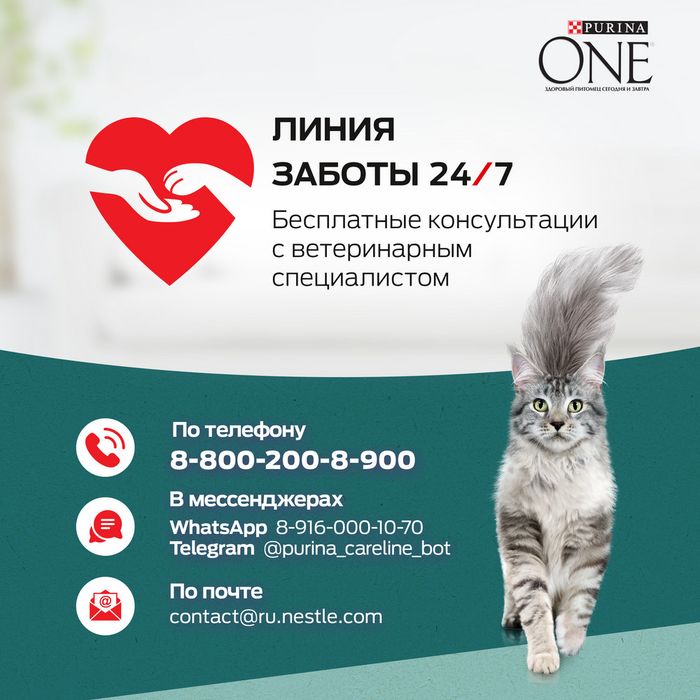 Сухой корм Purina ONE® Природа Здоровья® для взрослых кошек со спирулиной, с высоким содержанием курицы