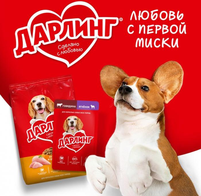 Влажный корм ДАРЛИНГ для взрослых собак, кусочки с телятиной в подливе