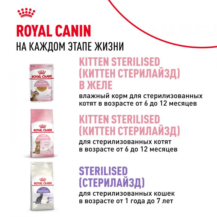 Royal Canin Kitten Instinctive влажный корм для котят от 4 до 12 месяцев в соусе