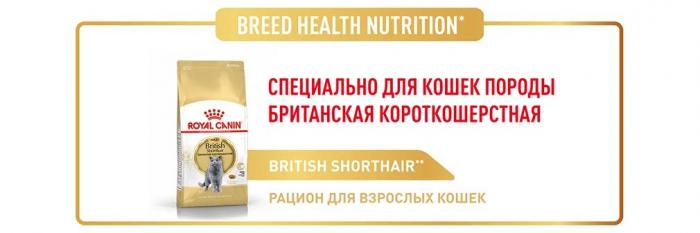 Royal Canin British Shorthair Adult сухой корм для кошек британской короткошерстной породы старше 12 месяцев