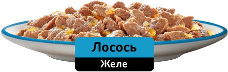 Whiskas влажный корм для кошек, желе с лососем