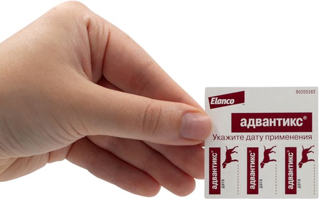 Elanco Адвантикс капли для щенков и собак 10-25 кг, от клещей, блох и комаров