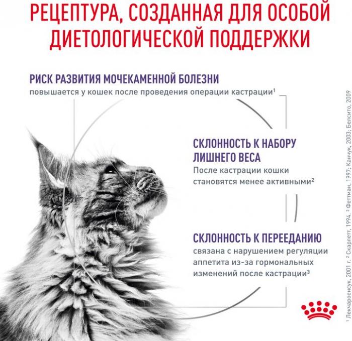 Royal Canin Neutered Maintenance влажный корм для стерилизованных кошек, мелкие кусочки в соусе