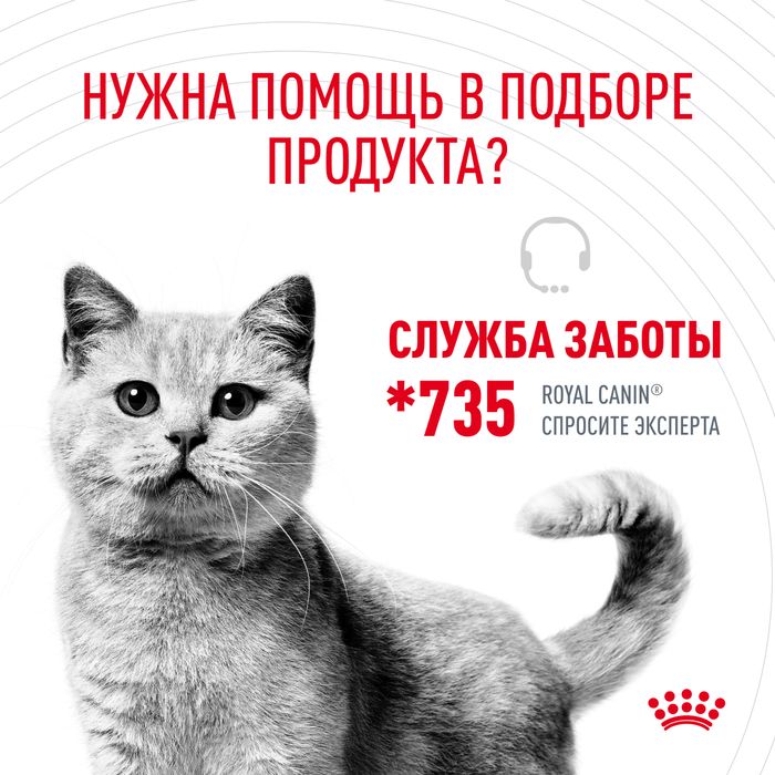 Royal Canin Digestive Care влажный корм для кошек, кусочки в соусе