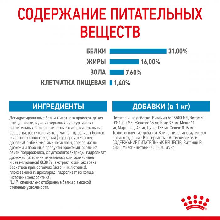 Royal Canin Giant Junior сухой корм для щенков гигантских пород