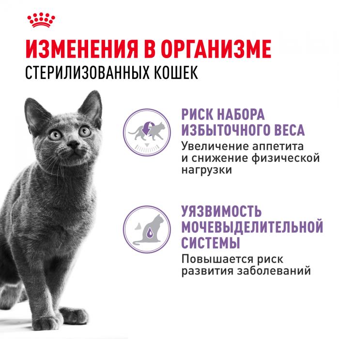 Royal Canin влажный корм для стерилизованных взрослых кошек всех пород, кусочки в желе