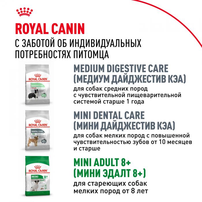 Royal Canin Mini Adult сухой корм для собак мелких пород