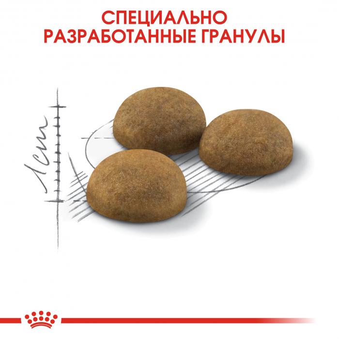 Royal Canin Indoor Long Hair сухой корм для длинношерстных кошек