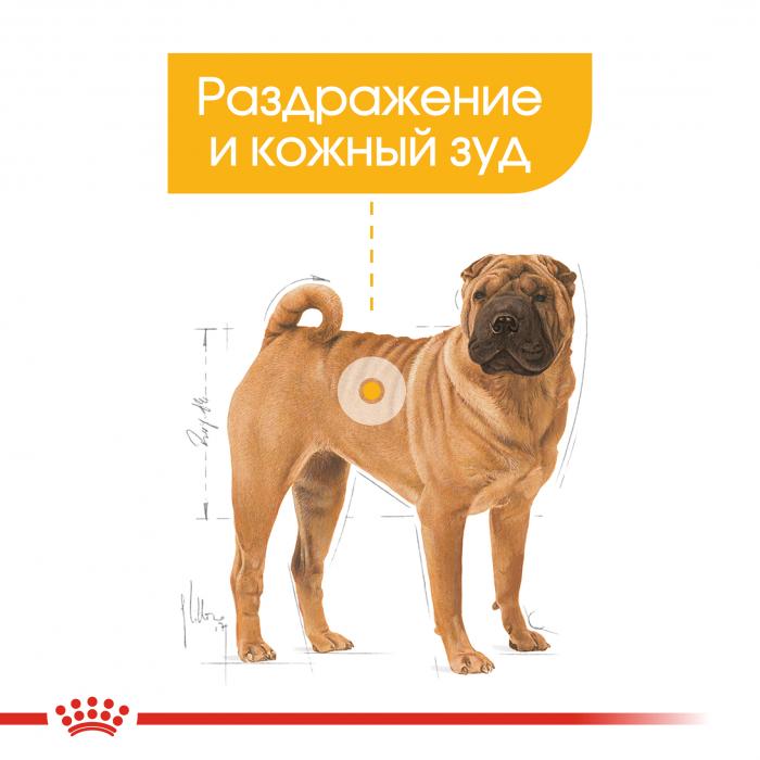 Royal Canin Medium Dermacomfort сухой корм для собак средних пород склонных к раздражениям и зуду