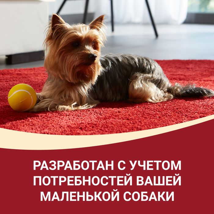Влажный корм Purina ONE® Мини Активная для взрослых собак мелких пород с активным образом жизни, с уткой, пастой и зеленой фасолью в подливе