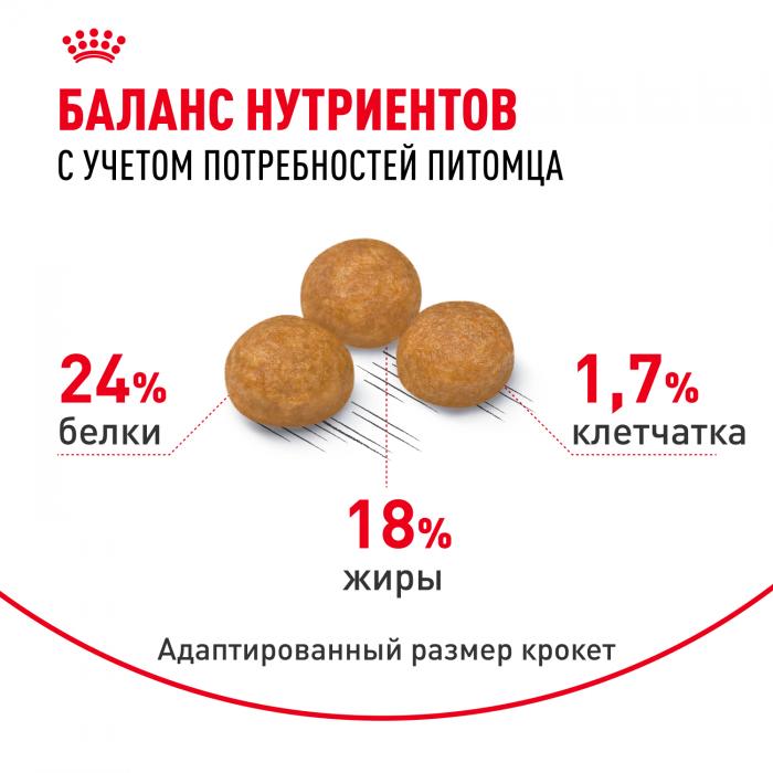 Royal Canin X-Small Adult сухой корм для собак миниатюрных пород