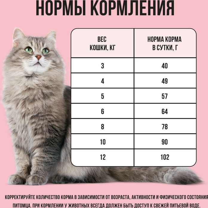 Bowl Wow корм для кошек, с индейкой, курицей и добавлением яблока