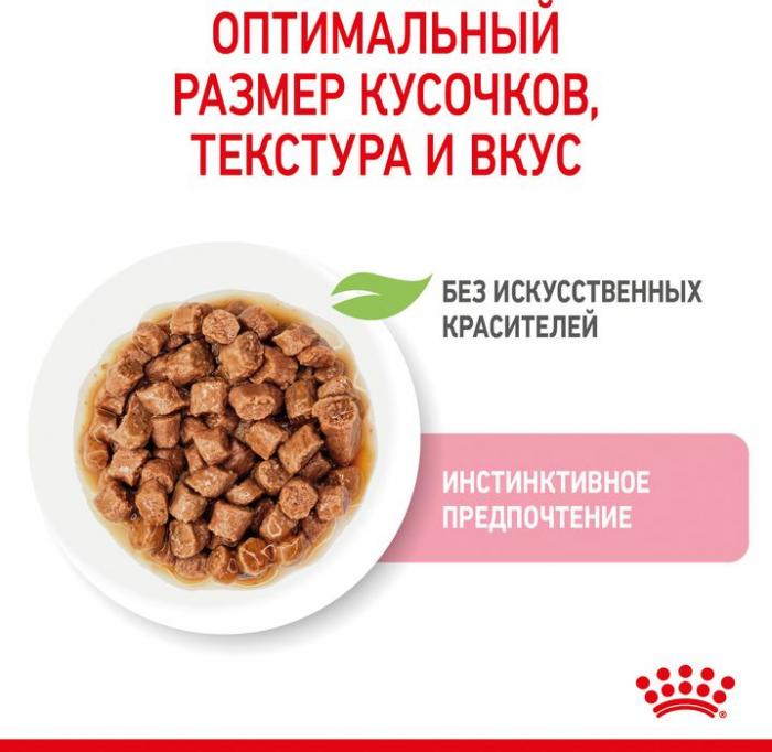 Royal Canin влажный корм для котят всех пород, в соусе