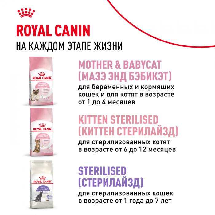 Royal Canin Kitten сухой корм для котят