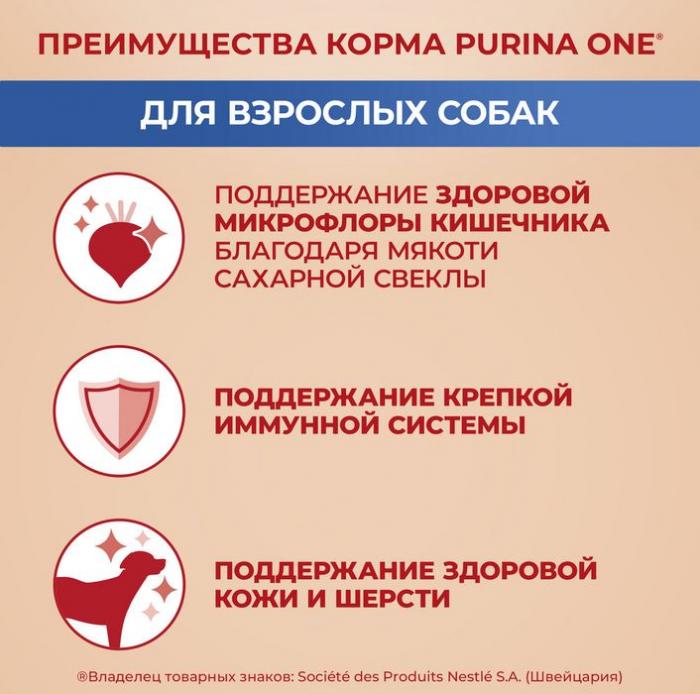 Сухой корм Purina ONE® для взрослых собак средних и крупных пород, с высоким содержанием ягненка и рисом
