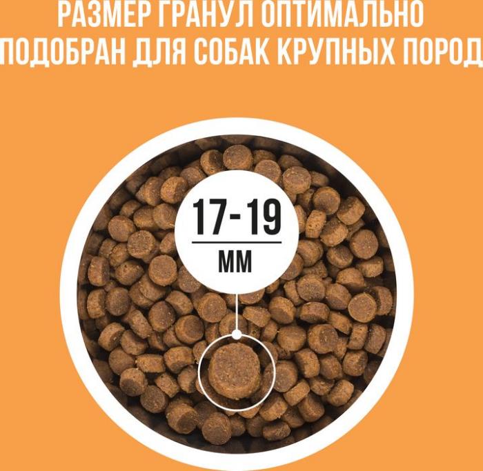 Bowl Wow корм для собак крупных пород, с индейкой, курицей, рисом и добавлением тыквы