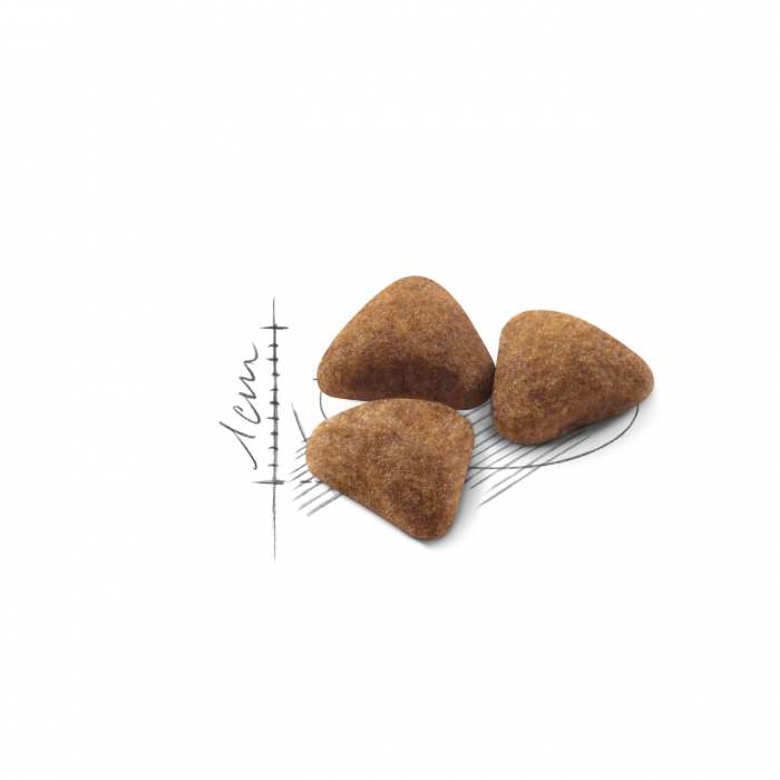 Royal Canin Indoor сухой корм для домашних кошек