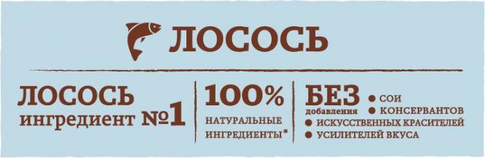 Nature`s Table корм для взрослых кошек всех пород, лосось