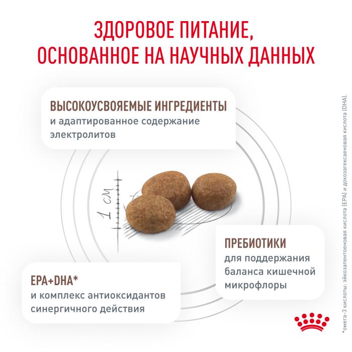 Royal Canin Gastro Intestinal Low Fat лечебный сухой корм для собак с ограниченным содержанием жиров при нарушениях пищеварения