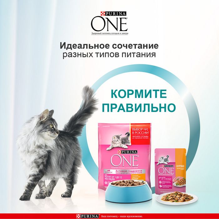 Влажный корм Purina ONE® для котят, с курицей и морковью