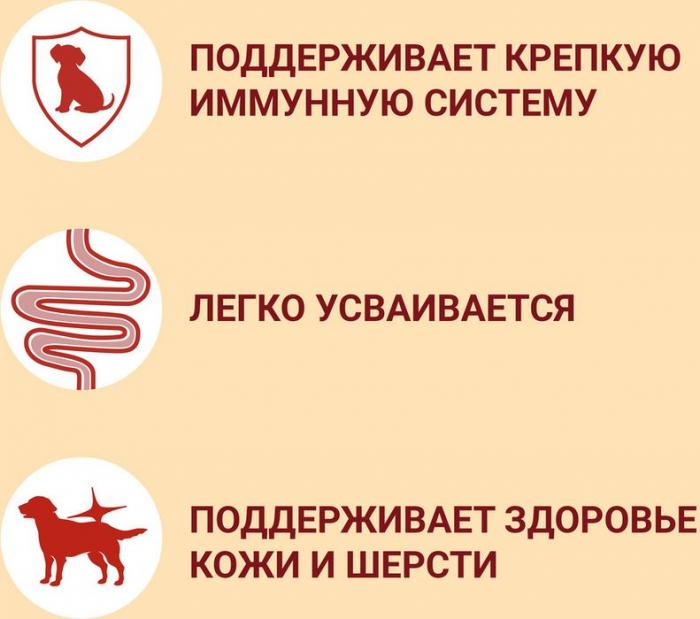Влажный корм Purina ONE® Мини для активных взрослых собак мелких и карликовых пород, с говядиной, картофелем и морковью в подливе 
