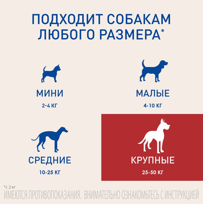 Boehringer Ingelheim Фронтлайн Нексгард таблетки для взрослых собак 25,1-50 кг, от блох и клещей