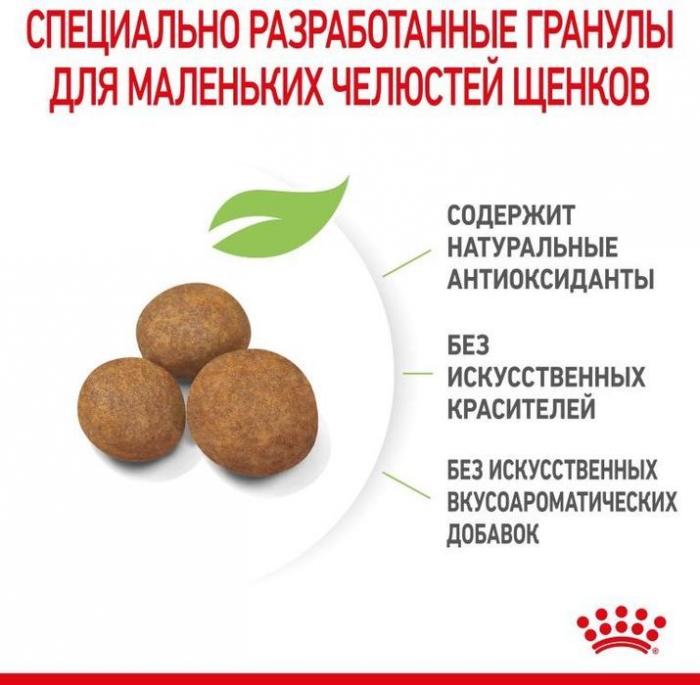Royal Canin корм для щенков гигантских пород (с 2 до 8 месяцев)