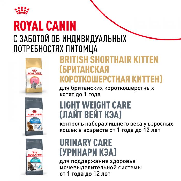 Royal Canin British Shorthair Adult сухой корм для кошек британской короткошерстной породы старше 12 месяцев