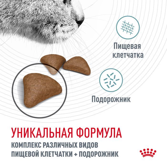 Royal Canin корм для взрослых кошек всех пород, вывод волосяных комочков