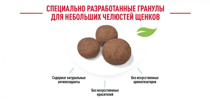 Royal Canin Maxi Puppy сухой корм для щенков крупных пород