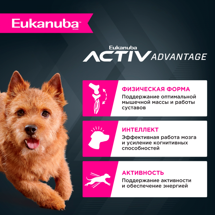 Eukanuba сухой корм для собак мелких пород с курицей