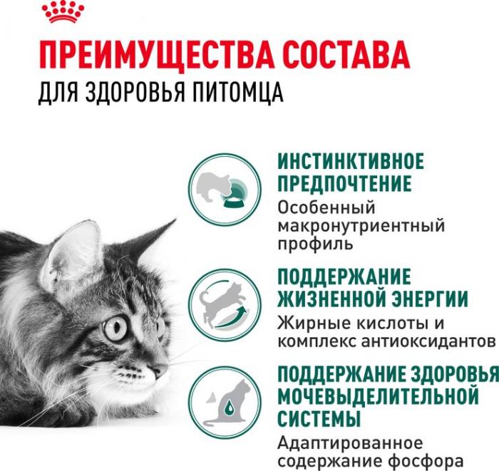 Royal Canin влажный корм для пожилых кошек всех пород, мелкие кусочки в соусе