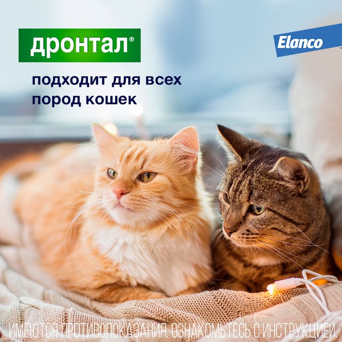Elanco Дронтал таблетки для кошек и котят, антигельминтик