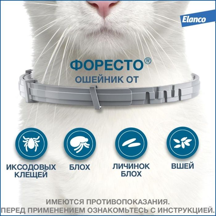 Elanco Форесто ошейник для котят и кошек, от клещей и блох