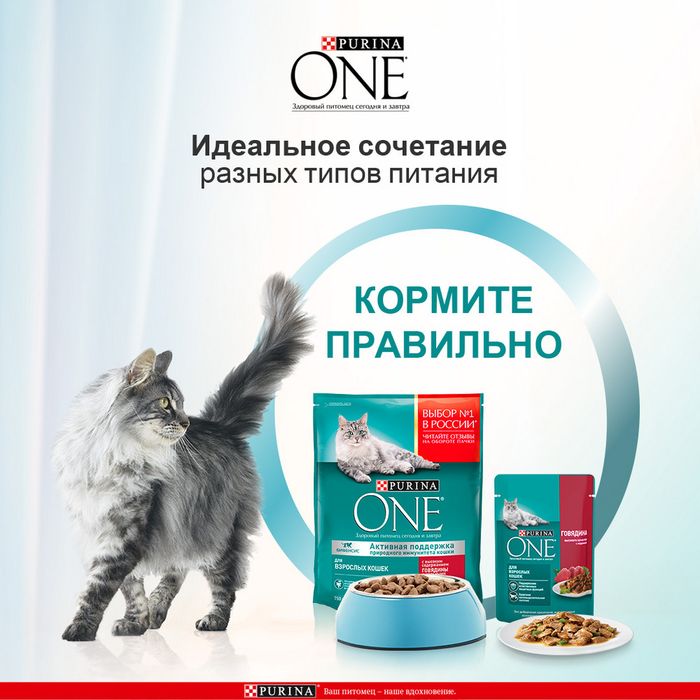 Влажный корм Purina ONE® для взрослых кошек, с говядиной и морковью