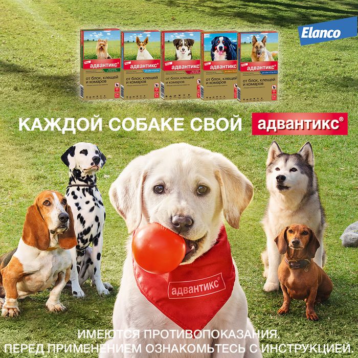 Elanco Адвантикс капли для щенков и собак 10-25 кг, от клещей, блох и комаров