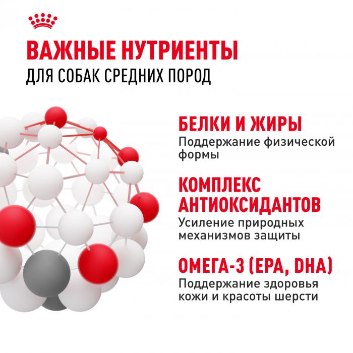 Royal Canin Medium Adult сухой корм для собак средних пород с 12 месяцев до 7 лет