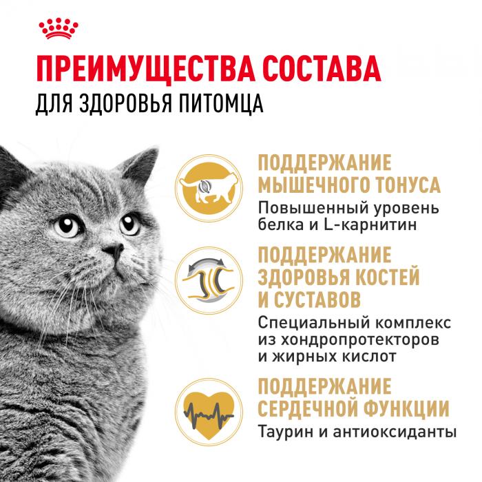 Royal Canin British Shorthair Adult сухой корм для кошек британской короткошерстной породы старше 12 месяцев