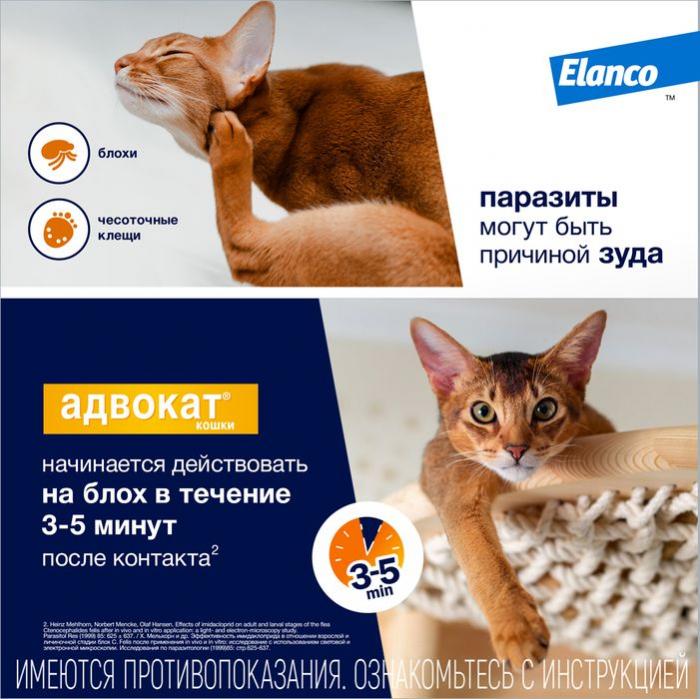 Elanco Адвокат капли на холку для котят и кошек 4-8 кг, от клещей и блох