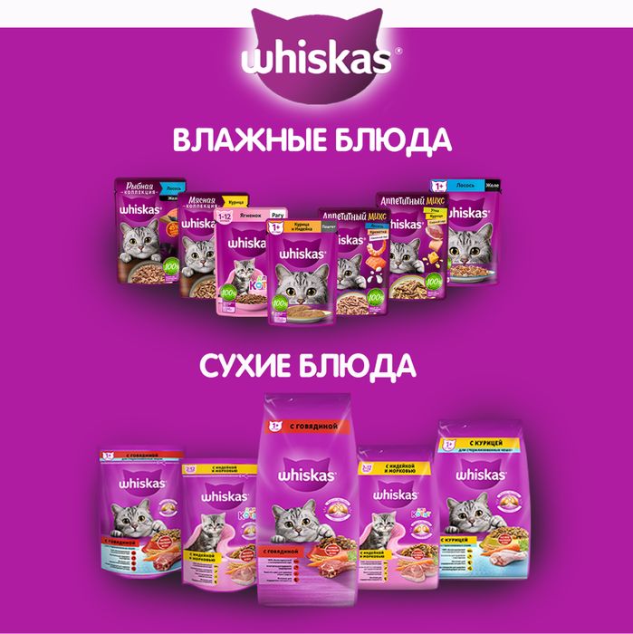 Whiskas влажный корм для котят, паштет с курицей